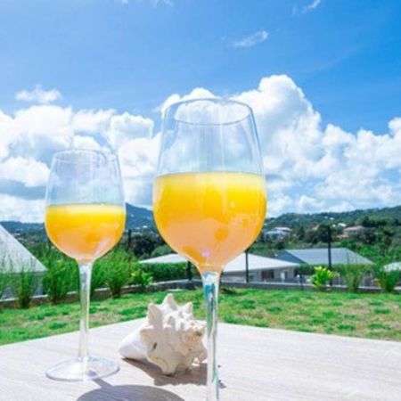 La Casa Tropicale Apartment Le Francois Ngoại thất bức ảnh